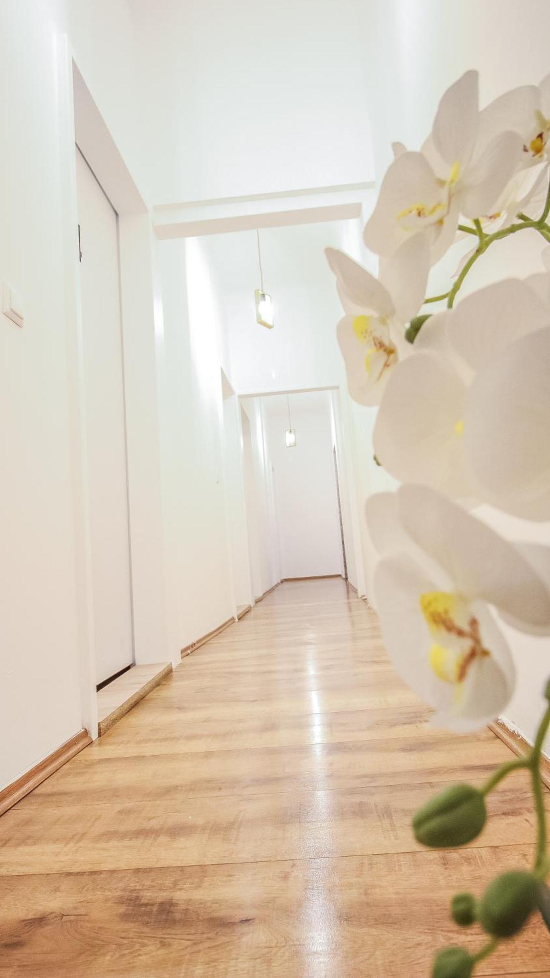 Comfortable Accommodations In The Alterlaa Area Lv6 Вена Экстерьер фото